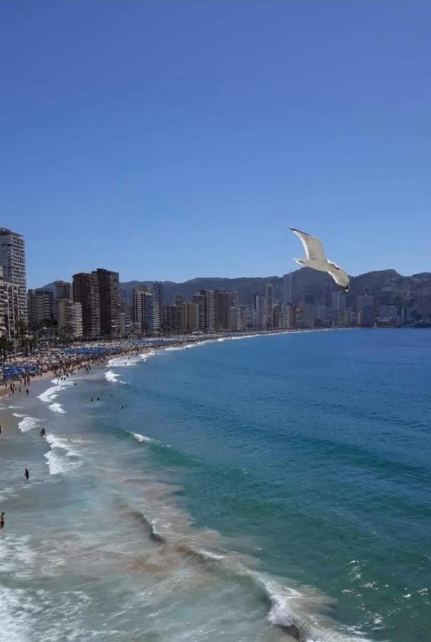San Remo Levante Beach Apartments Benidorm Exterior photo